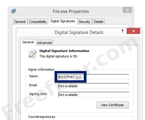 Screenshot of the ROSTPAY LLC certificate